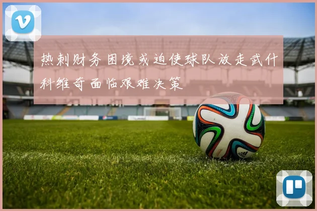 热刺财务困境或迫使球队放走武什科维奇面临艰难决策